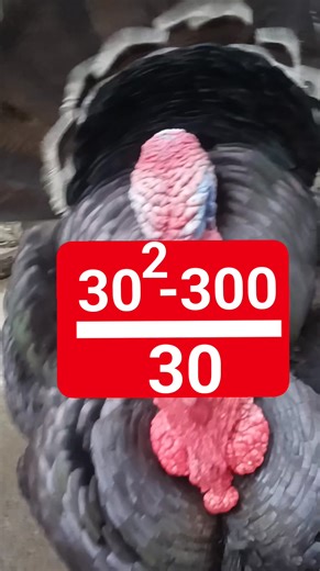 Find the Answer (Math Test) #math #mathtest #mathstudent #maths #mathskills #education #mathematics #viralreelschallenge #trendingnow #viralvideochallenge | Manoj Mallik