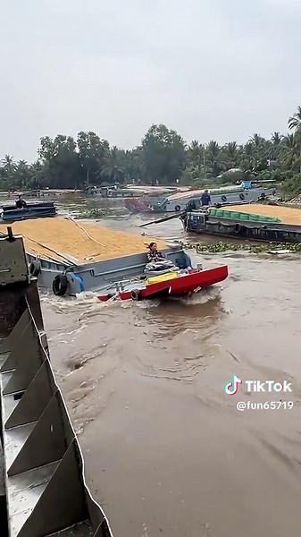 #BalliBotMogis #TrendingReels #TrendingReels #Foryoupage ##FYP | balli