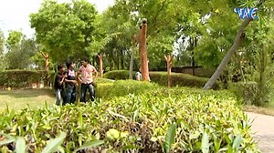 Jabse Bhayili Mahatarayin Lolly Pop Lageli ,Pawan Singh #LollyPop #pawansingh #best #post #viral #reels #trending #video #bhojpuri | Wave Music Bhojpuri