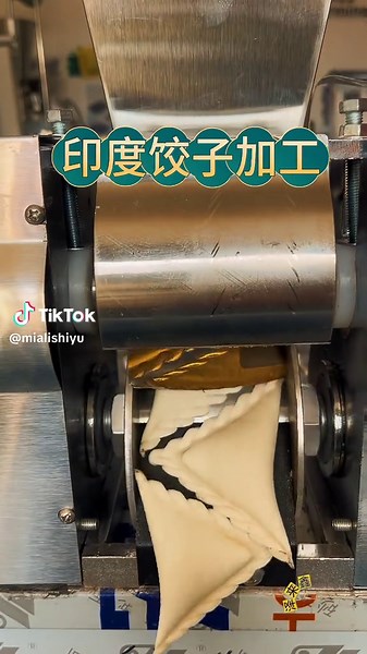 Automate Your Cooking with an Indian Dumpling Machine