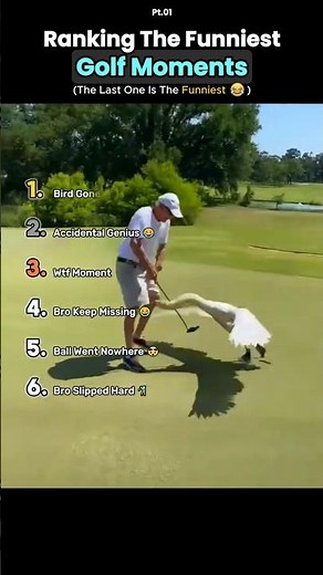 Ranking the Funniest Golf Fails Moments ⛳😂 #funny #fails