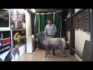 Solo Targets Demonstration