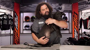 39K views · 825 reactions | ICYMI: New Leash on Life Review Lemmy reviews a puppy... | RevZilla | Facebook