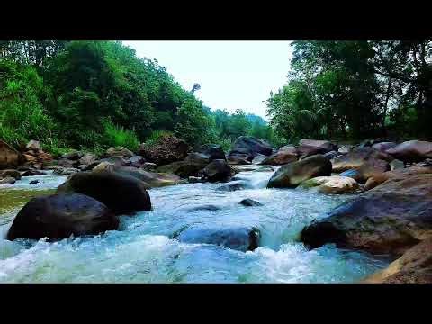 Relaxing Music for Stress Relief | Nature River Sounds for Stress, Anxiety & Insomnia