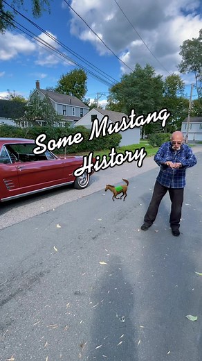 #dickiescahs #pissah #automechanic #1966mustang #antiqueford #fordunibody #vintagecar #carhistory