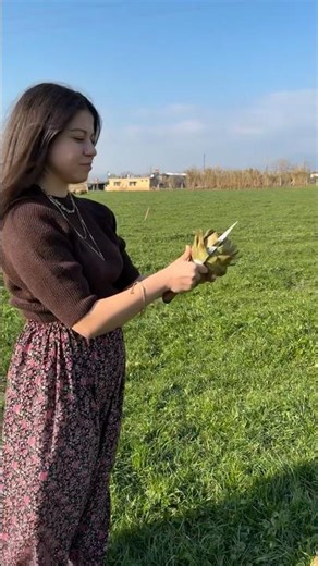 41 GÜN YE! 😊 #shorts #artichoke #harvest