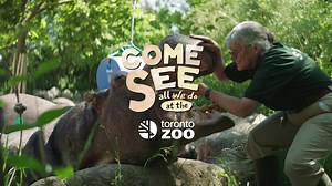 15K views · 730 reactions | Meet Alison. She has worked at the Zoo...