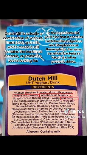 Discover the Benefits of Dutch Mill Yoghurt Drink | Probiotics for Digestive Health