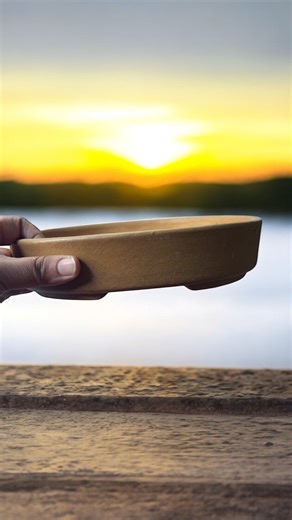 426 reactions · 21 comments | Unbelievable Price | Perfect ceramic pot for your Bonsai | Handmade 爐 rustic look Oval Bonsai pot Dm to order 9340957839 Limited stock*** Shipping on actual**** #pots #ceramic #bonsai #buybonsai #planter #buybonsai #bonsailife #thebonsaihaat #bonsailovers #buybonsaionlineinindia #bonsaiinraipur #bonsaipots #buybonsaipotsonlineinindia | The Bonsai Haat | Facebook