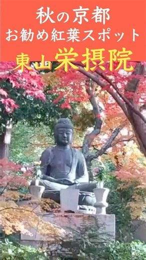 #shorts Must-See Autumn Foliage Spots in Kyoto #12: "Eisho-in Temple" #Japan #Kyoto #AutumnFoliage