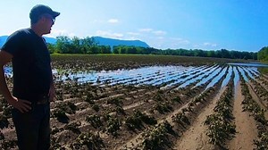 Vermont farmers take stock after losing crops to flooding 2 years in a row