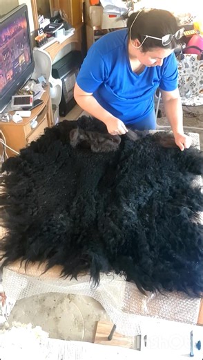 12K views · 322 reactions | Wet felting beautiful sheep fleece today. I have different fleeces and backing wool available if you would like to try a project. #wool #craft #art #hobby #creative #diy #homemade #handmade #sheep #farm #farming #countrylife #countryside #wetfelting #workshop | Welsh cottage by Zina | Facebook