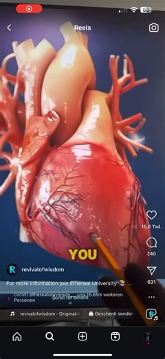 The Heart Vortex. Did you already know that your heart is not a pump but in fact an chestahydron? The heart is far more than a simple energy generator that circulates blood charged with plasma, it plays a pivotal role in the emotional dimension of our consciousness. —-PDF & Book: