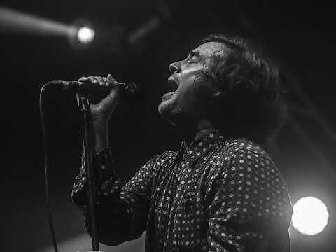 Enjambre, Siddhartha, Camilo Séptimo, Zoe, Café tacvba, Hello Seahorse, Kinky y más