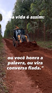 🤨#brasil #brasil🇧🇷 #minas #top #usa | Renatoh Carloss