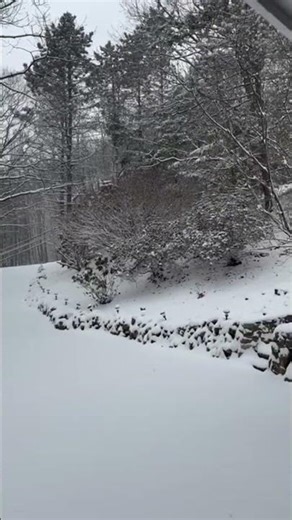Perfect Snowfall in New Jersey ❄️🇺🇸 | First Snow of the Season 😍 #shorts