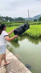 # Rural Life