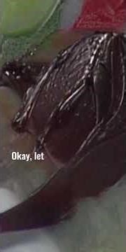 Bob Ross creates the backdrop for an Autumnal Painting