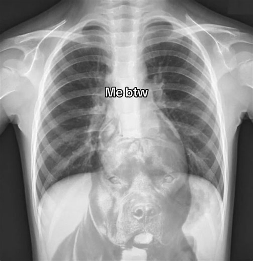 it’s complicated (@its.complicated.im.sorry)’s videos with original sound - 𝓟𝓵𝓾𝓼𝓱𝓲𝓮!