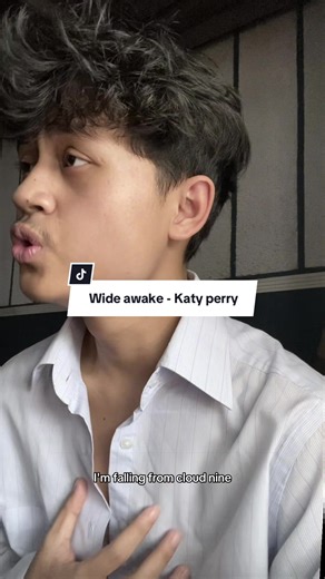 Cover of Katy Perry's 'Wide Awake'