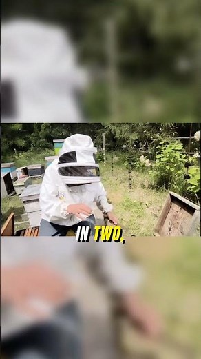 Kill Varroa Mites Naturally #beekeeping #organic