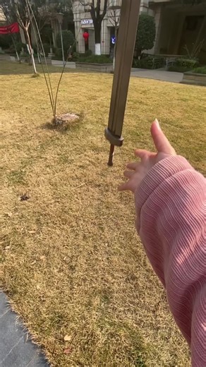 Elden Ring vs. EVA: Which Game Reigns Supreme?