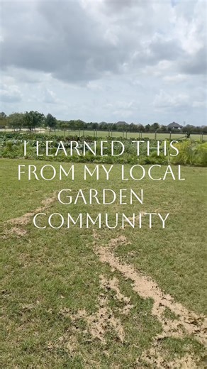 I Learned This From My Local Garden Community (Game Changer)