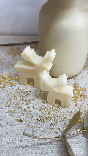 Nous sommes ravis de vous présenter notre collection de Noël imaginée et créée avec amour et douceur ! Nous espérons que vous serez au rendez-vous et que vous nous donnerez votre avis. Vos retours sont essentiels et sont notre motivation. Après un peu de suspense, voici les 10 parfums sélectionnés pour cette collection : 🎅 pain d’épices 🍿pop corn 🍫rocher praliné 🍊fruits confits 🍎pomme d’amour ❤️délice interdit 🍓fruits rouges 🏝️vanille des îles 🌸jasmin 💜violette Chaque création peut donc