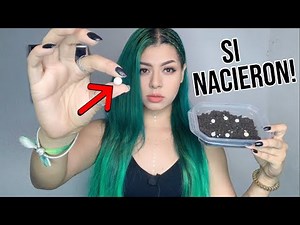 I rescued some tiny eggs and they hatched!!! What came out??