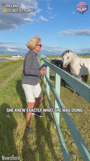 210K views · 82 reactions | Lady touches electric fence on purpose | Joyful | Facebook