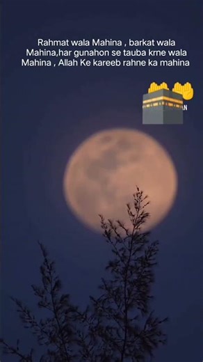 Best Ramadan Ever #shorts #status #2026 month of Ramadan Kareem 🤲#2025shorts