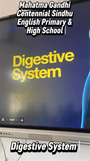 Sindhu Education society on Instagram: "From bite to energy – “Understanding the journey of food through the digestive system.”✨🔬🔭🧑‍🔬🔭 . . . #digestivesystem #digestivesystemhealth #digestivewellness #science #sciencefacts #sciencestudent #scienceteachers #sciencestudents #learning #learningscience #learningbydoing #education #educationsystem #students #teachers #school #schoollife #schoolvlogs #schooltime #sindhueducationsociety #insta #instapost #instadaily #instagram #instagramreels @baj