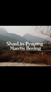 4.1K reactions · 340 shares | ShaoLin Praying Mantis Boxing.More than 1000 years ago, Master Qiuyue of ShaoLin Temple created the ShaoLin Image boxing. #Shaolin #gongfu #少林寺 #martical #kung | Moon Zen | Facebook