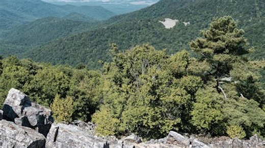 From Forests to Beaches: 15 Stunning U.S. Travel Photos
