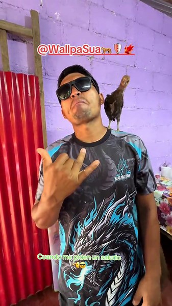 Videos de chin chin vraém 💸🌿 (@chinchinvraem1) con “original sound - F R E D E R I C”