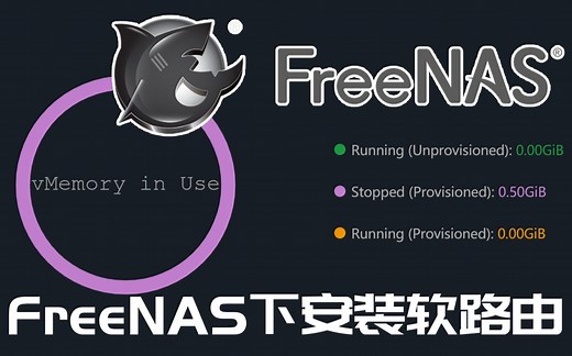 玩转Freenas系统04——Freenas下安装虚拟机，软路由