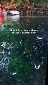therapy helps… but have you tried floating with manatees? Clear kayaks. Crystal-clear spring water. Slow mornings on the Silver River 🛶 Our guided clear kayak tours at Silver Springs State Park are designed to help you unplug, breathe deeper, and reconnect with nature and yourself. Manatees, wild Florida scenery, and zero rush. 📍 Ocala, Florida 🔗 Book your reset at getupandgokayaking.com #clearkayak #silversprings #manateeseason #ecotourism #floridabucketlist | Get Up And Go Kayaking - Silver