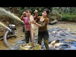 Fishing Techniques: How to Use A Large Capacity Pump Harvest Fish, Catch Many Fish to Sell