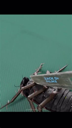 milk #milk #fyp #srilankan #views