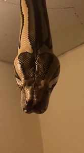 1.9M views · 21K reactions | Gak ada angin, gak ada hujan… tiba-tiba...