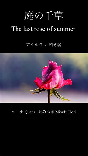 【ケーナ】庭の千草 The last rose of summer アイルランド民謡