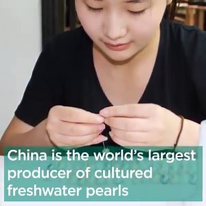 47K views · 911 reactions | JTV is one of the largest retailers of cultured pearl jewelry in the country! Discover the origins of this timeless gemstone. | JTV | Facebook
