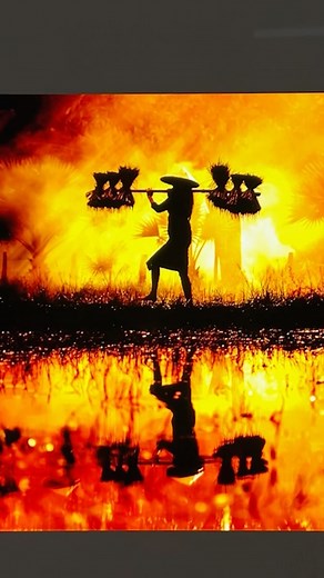 PiXimperfect on Instagram: "Secret Blend Mode Slider in Photoshop! . #photoshop #adobe #photoediting #colorgrading #photomanipulation #colorist #graphicdesigner #photography #piximperfect #unmeshdinda"