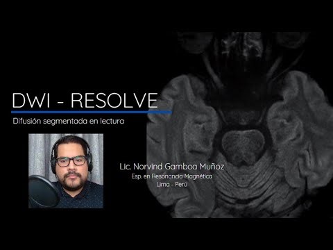 DWI - RESOLVE (SEGMENTACIÓN EN LECTURA)