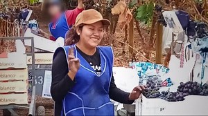 Campaigners warn seasonal farm workers at risk of exploitation