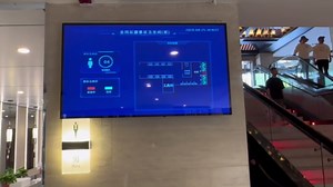 Unique way China manages queues in women's restroom