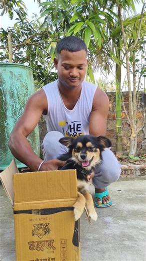 Remote Control Mini Dog 🐕 Unboxing || Style Hub || #shorts #original #dog #unboxing