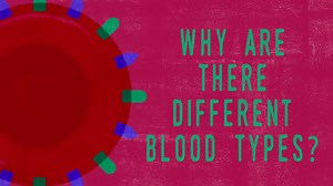 Did You Know: Why Are There Different Blood Types?