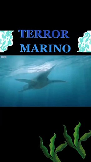 Exploring the Terrifying World of Plesiosaurs in the Ocean