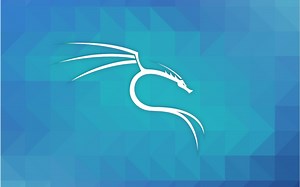 这可能是B站最详细的kali Linux u盘安装视频了